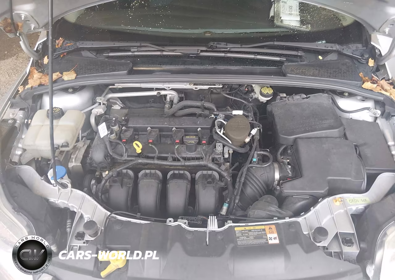 2014 Ford Focus Se VIN:1FADP3K2XE6141537 - 10