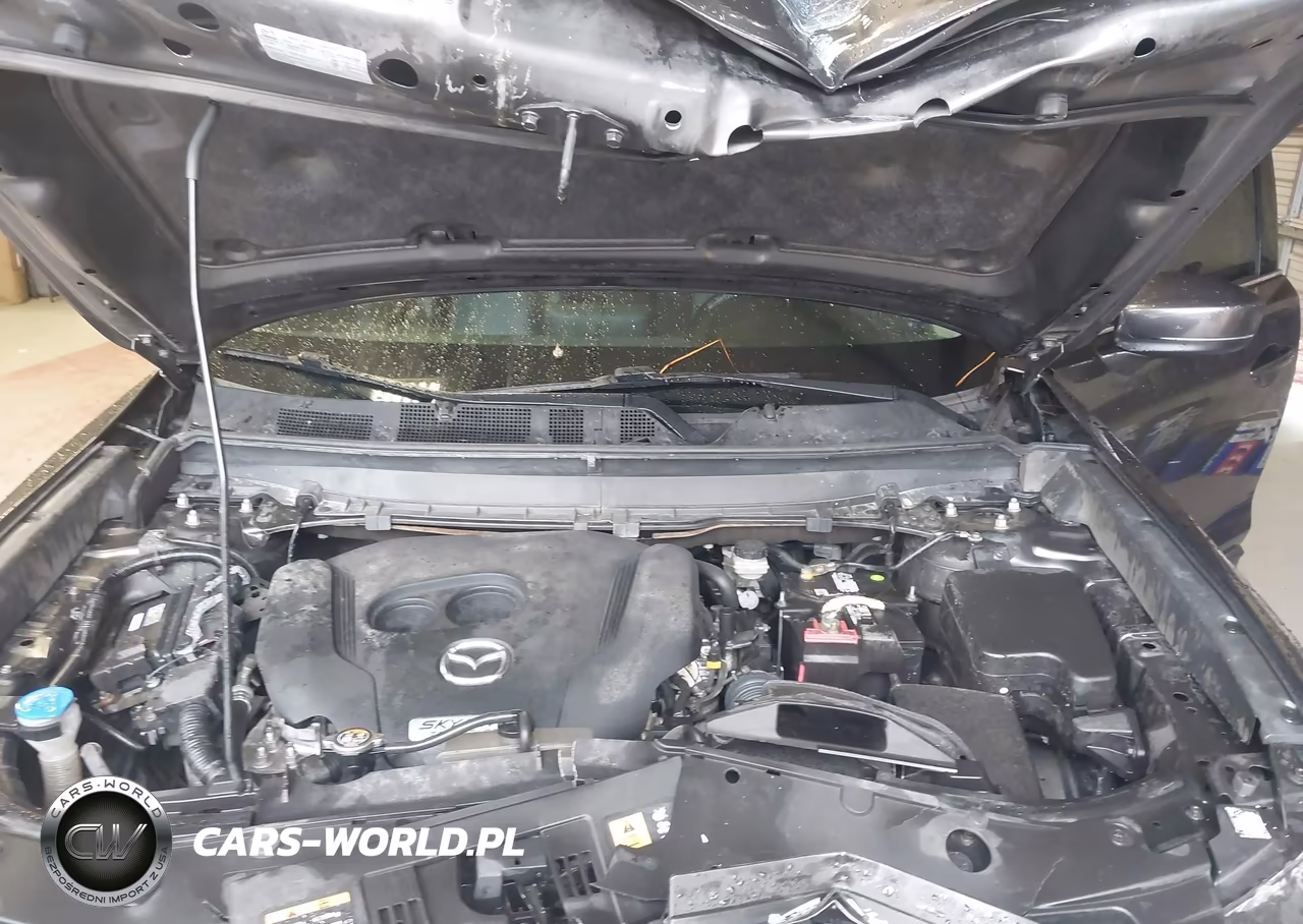 2018 Mazda Cx-9 Touring VIN:JM3TCBCY7J0236459 - 10