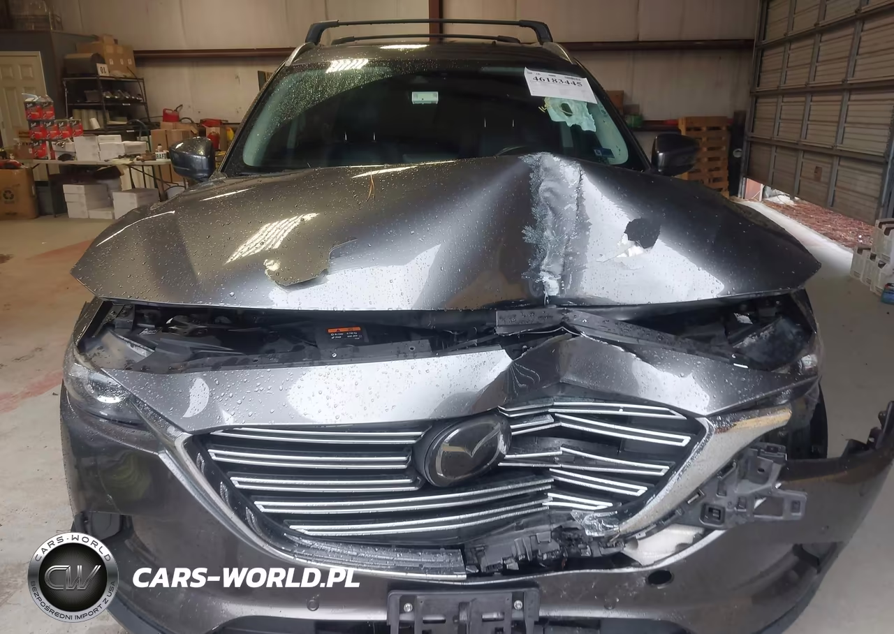 2018 Mazda Cx-9 Touring VIN:JM3TCBCY7J0236459 - 12