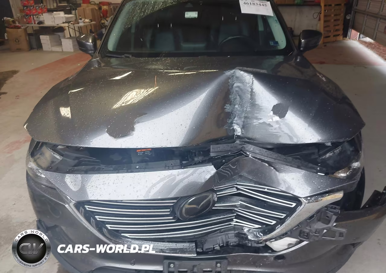 2018 Mazda Cx-9 Touring VIN:JM3TCBCY7J0236459 - 6