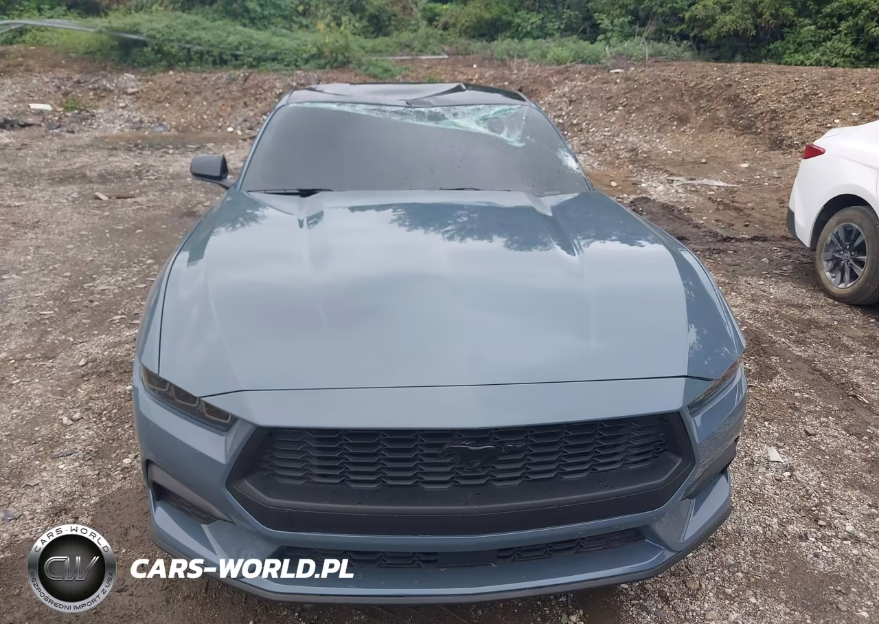 2025 Ford Mustang Ecoboost Fastback VIN:1FA6P8TH1S5124408 - 12