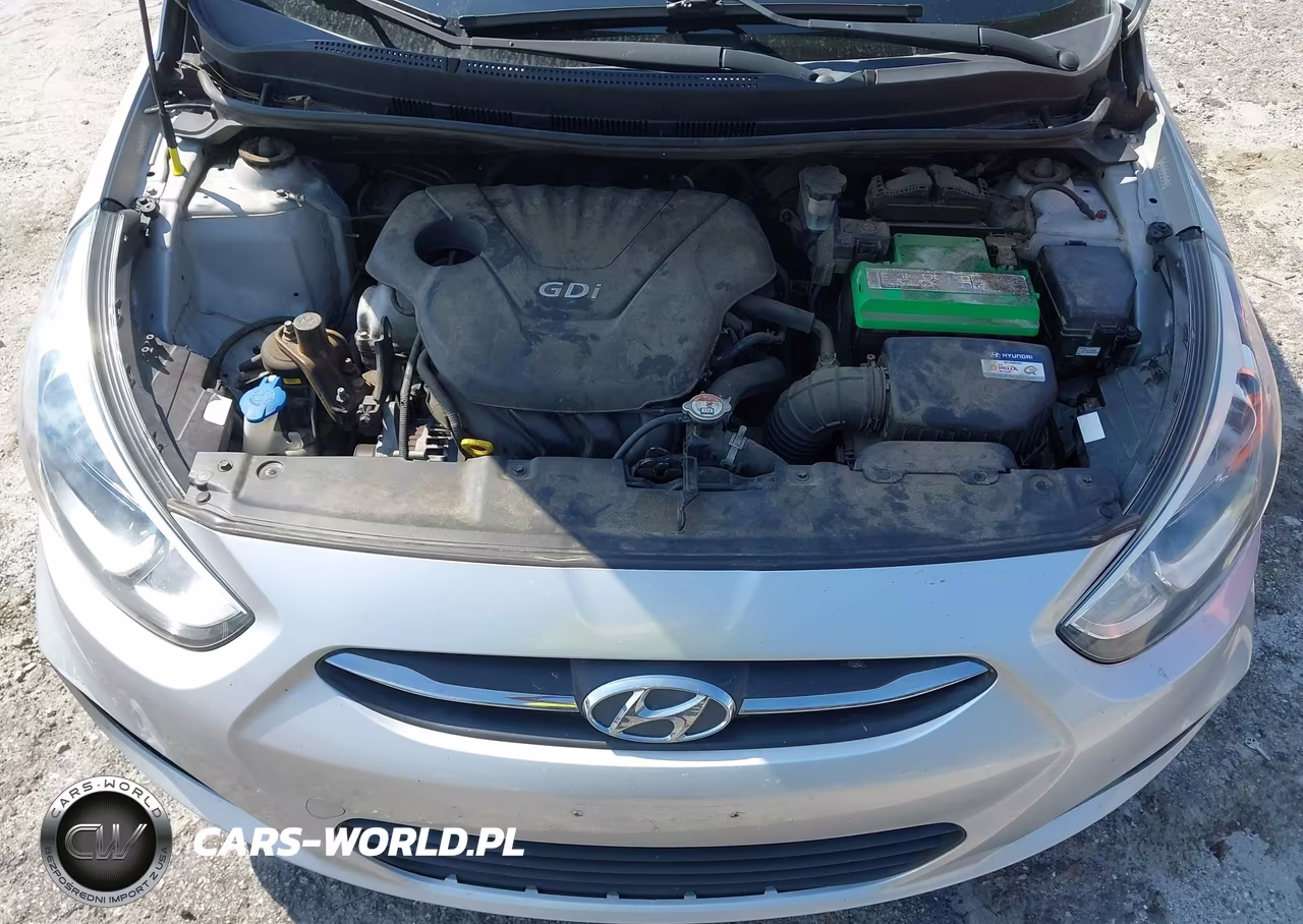 2016 Hyundai Accent Se VIN:KMHCT5AE4GU236791 - 10