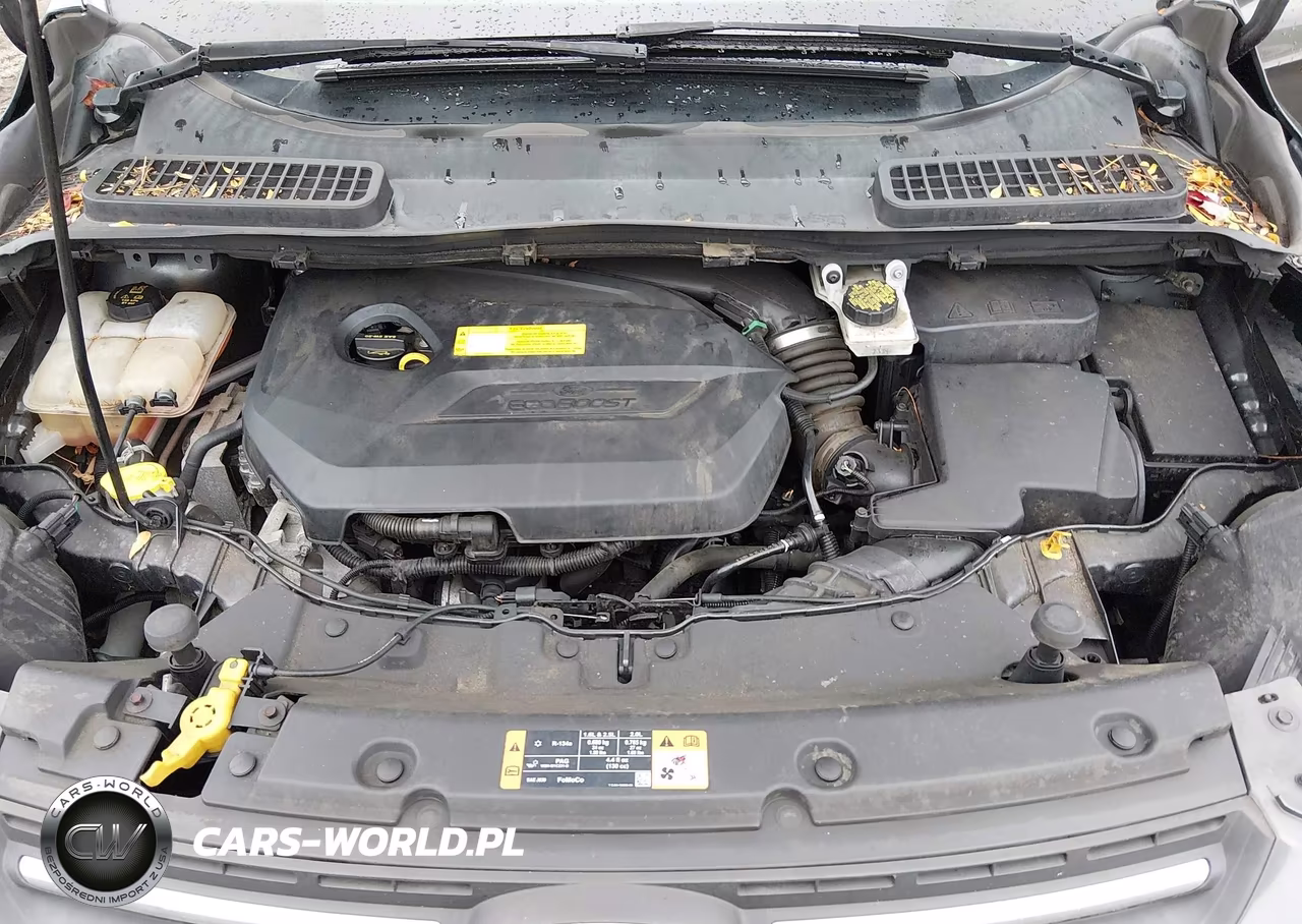 2016 Ford Escape Se VIN:1FMCU9GX4GUA89126 - 10