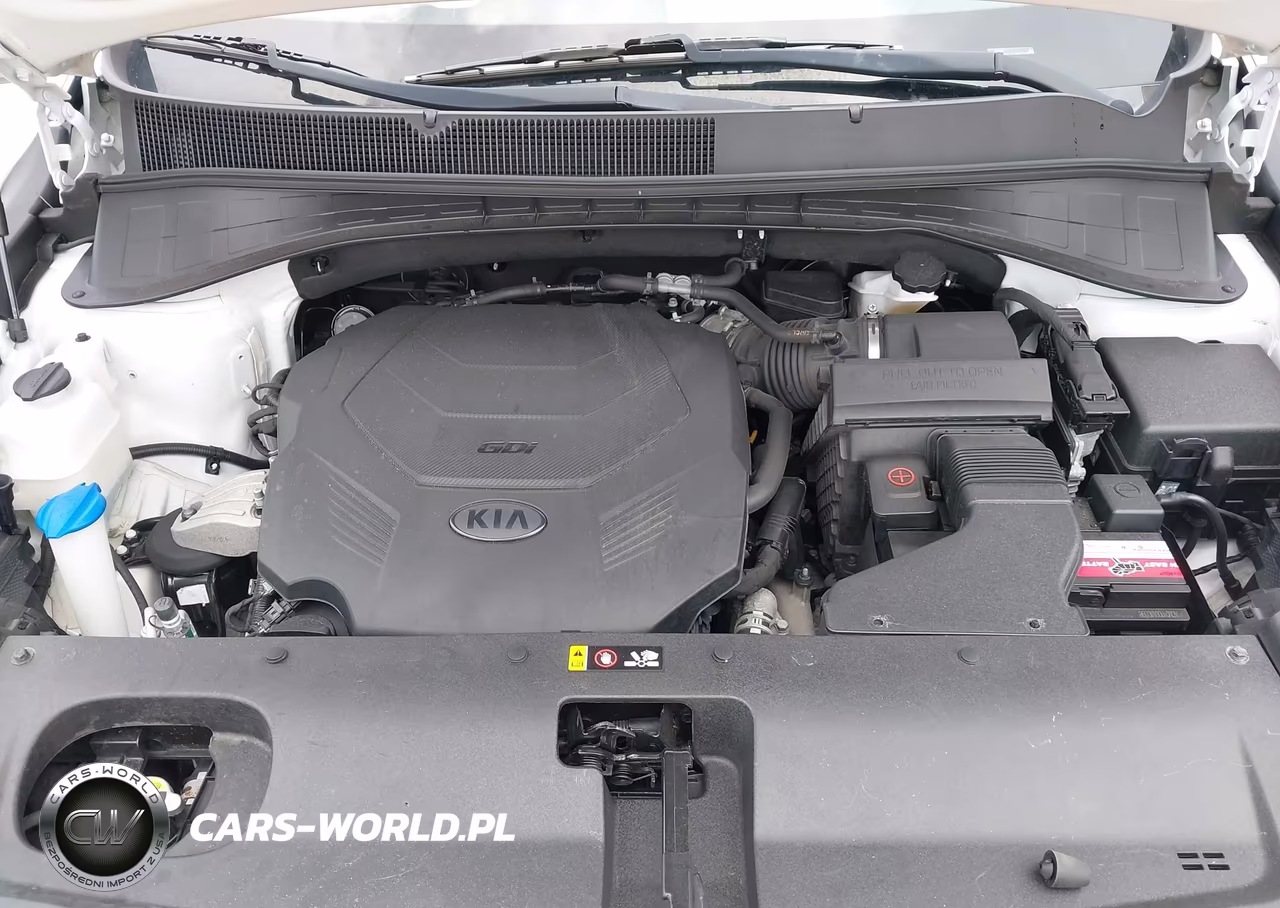 2020 Kia Sorento 3.3L Ex VIN:5XYPHDA51LG695550 - 10