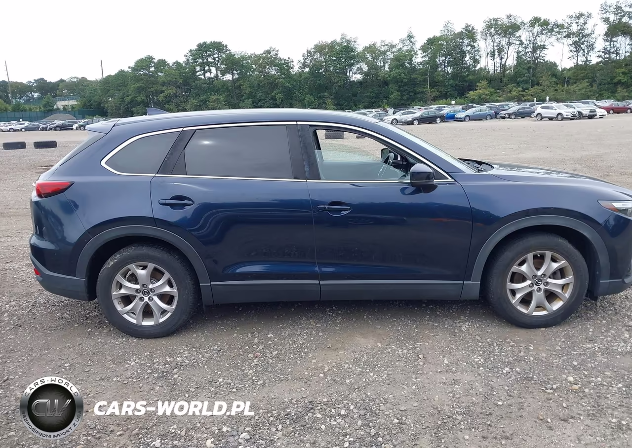 2017 Mazda Cx-9 Touring VIN:JM3TCBCYXH0143123 - 13