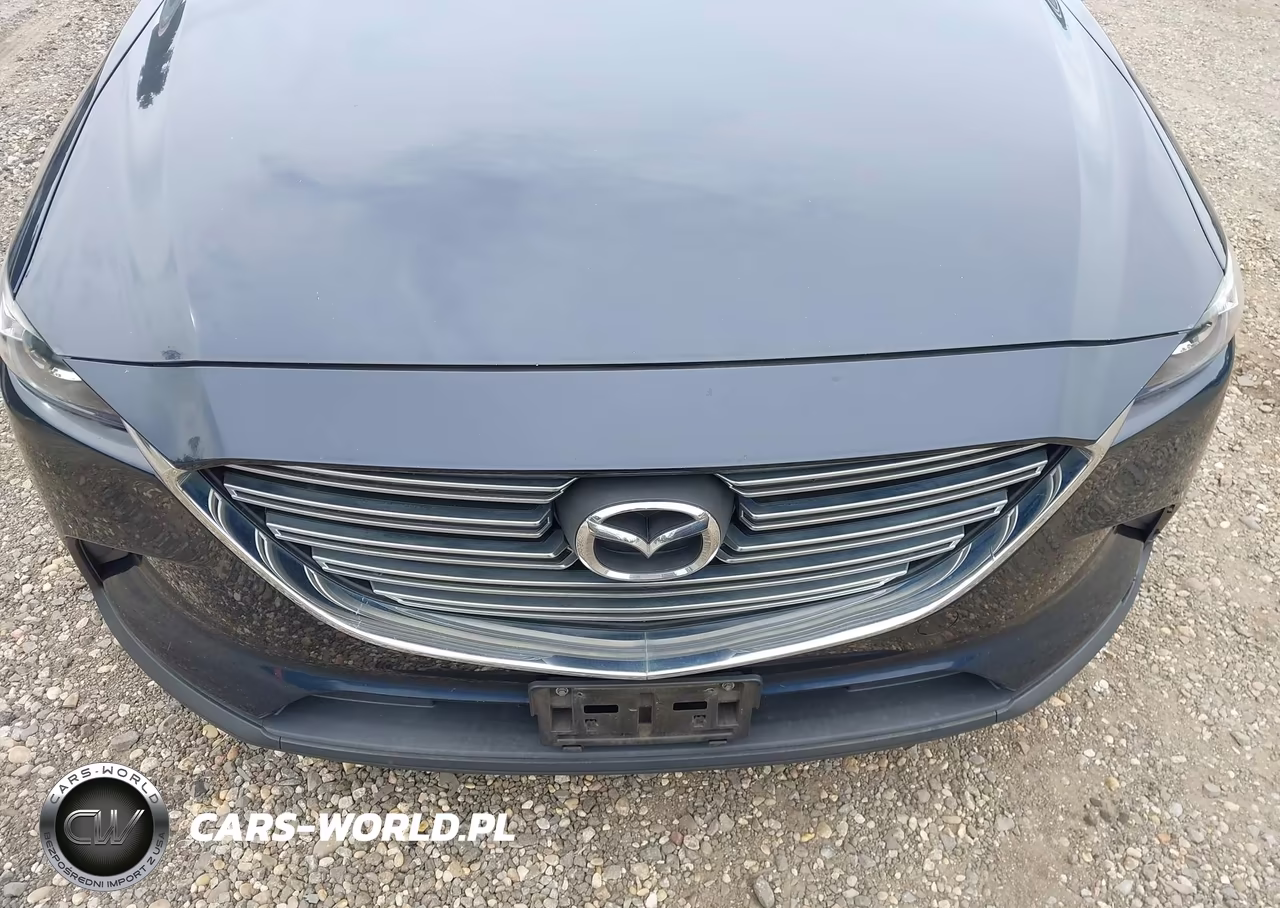 2017 Mazda Cx-9 Touring VIN:JM3TCBCYXH0143123 - 6
