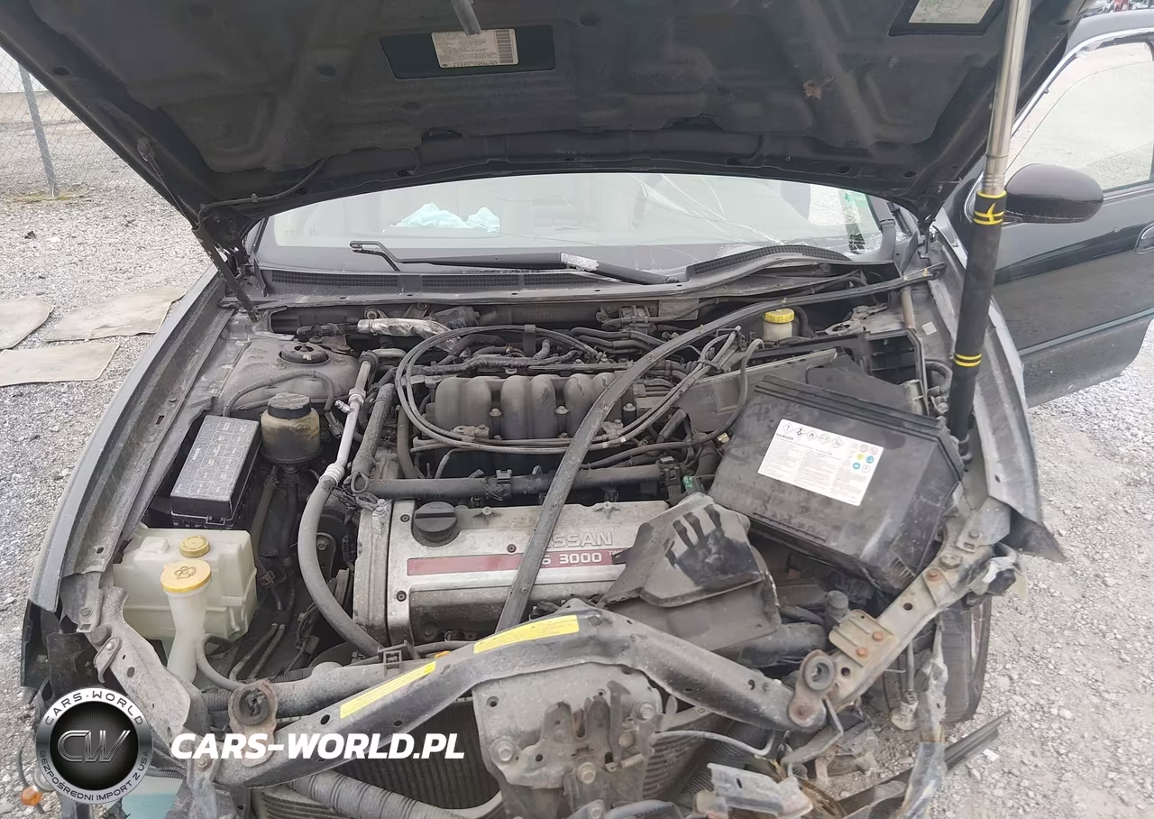 2001 Nissan Maxima Gxe VIN:JN1CA31D11T825027 - 10