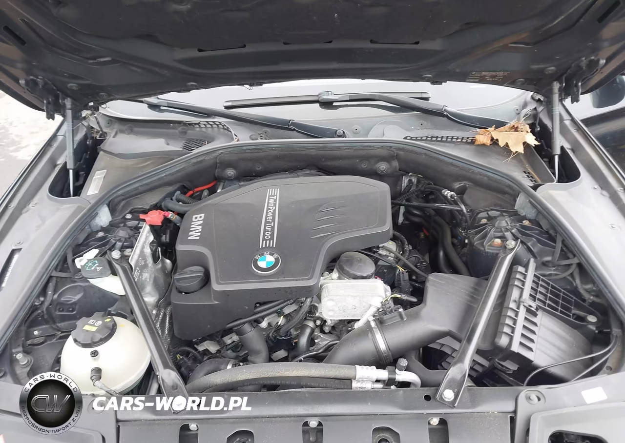 2014 BMW 528I xDrive VIN:WBA5A7C57ED616911 - 10