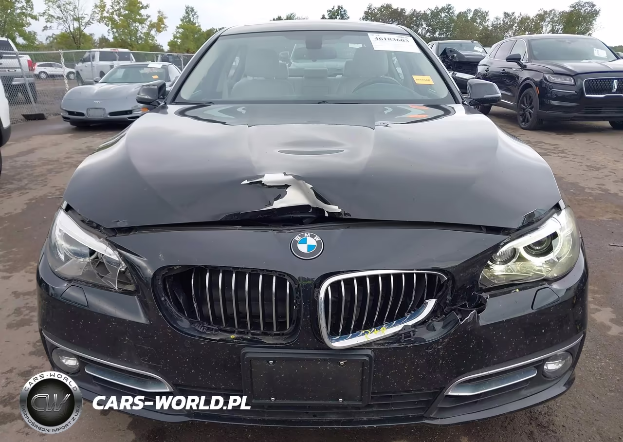 2014 BMW 528I xDrive VIN:WBA5A7C57ED616911 - 12