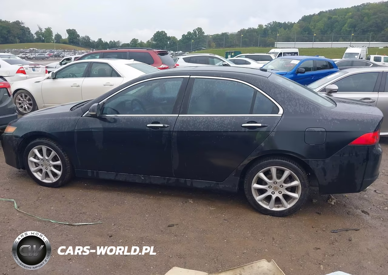 2006 Acura Tsx VIN:JH4CL96856C012737 - 14