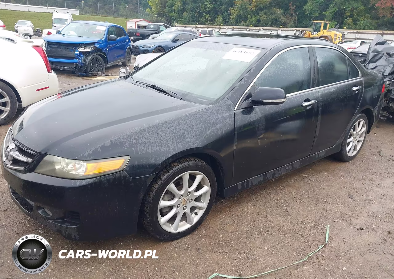 2006 Acura Tsx VIN:JH4CL96856C012737 - 2