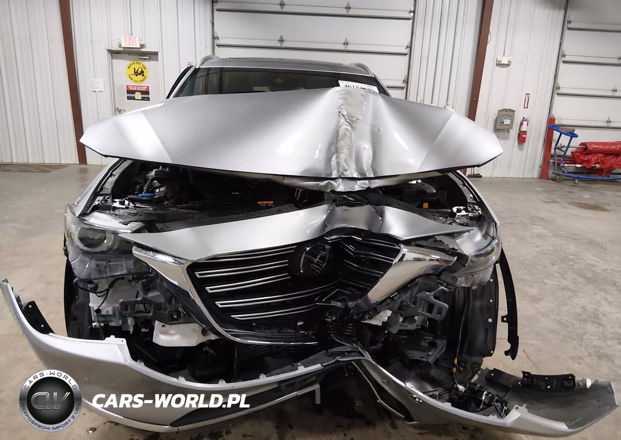 2018 Mazda Cx-9 Grand Touring VIN:JM3TCBDY2J0215923 - 19