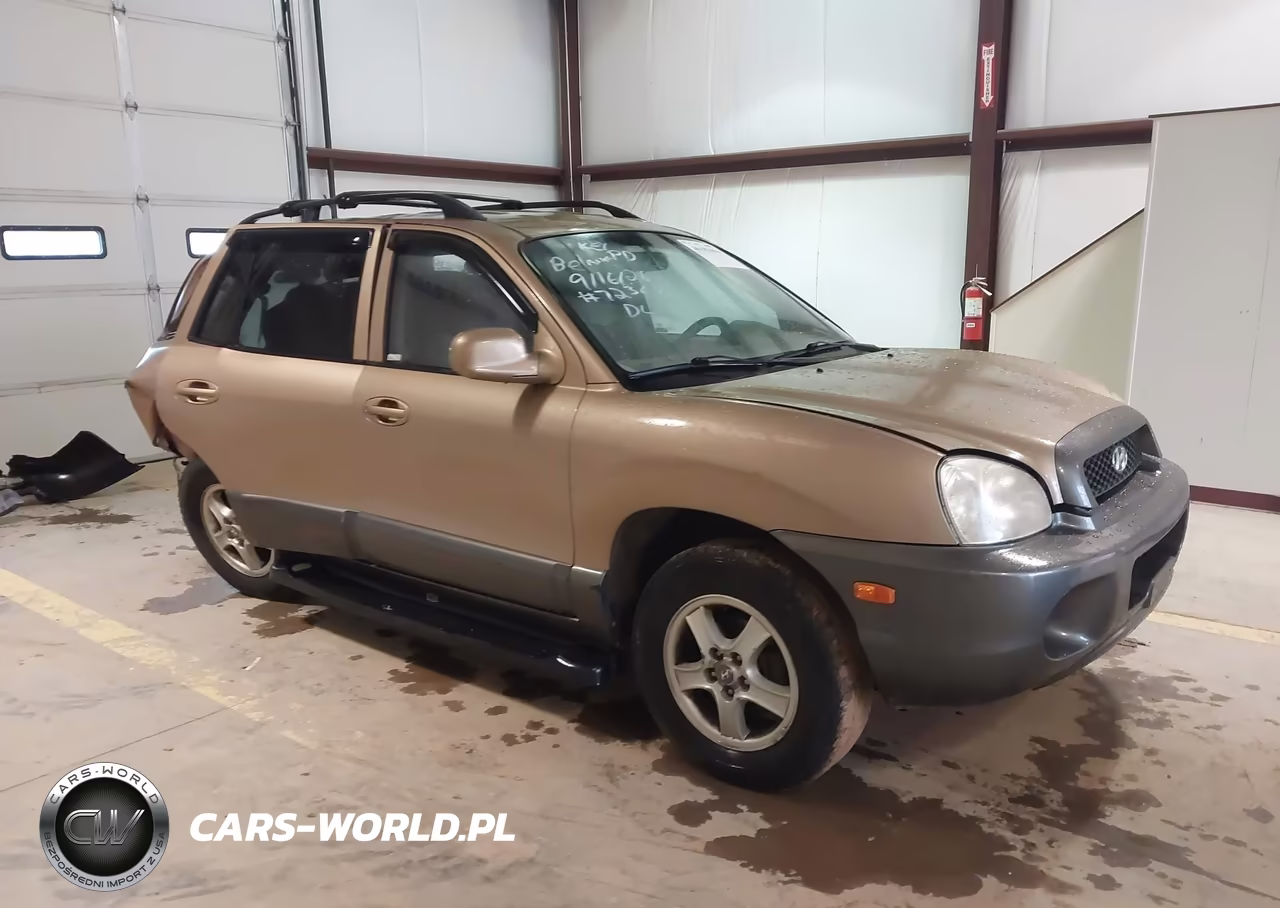 2004 Hyundai Santa Fe – zdjęcie 1 z 16