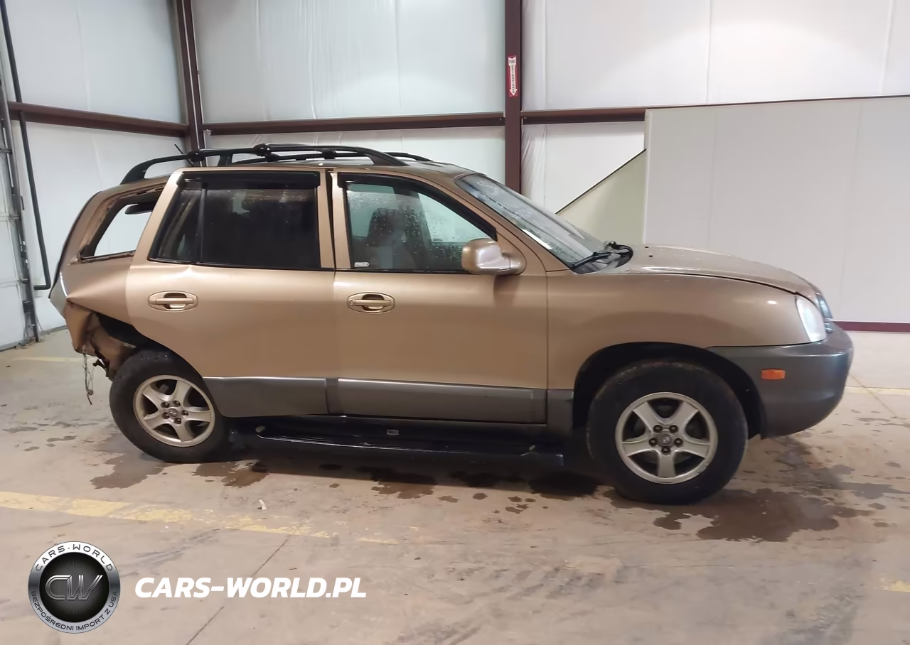 2004 Hyundai Santa Fe VIN:KM8SB12B64U786937 - 13