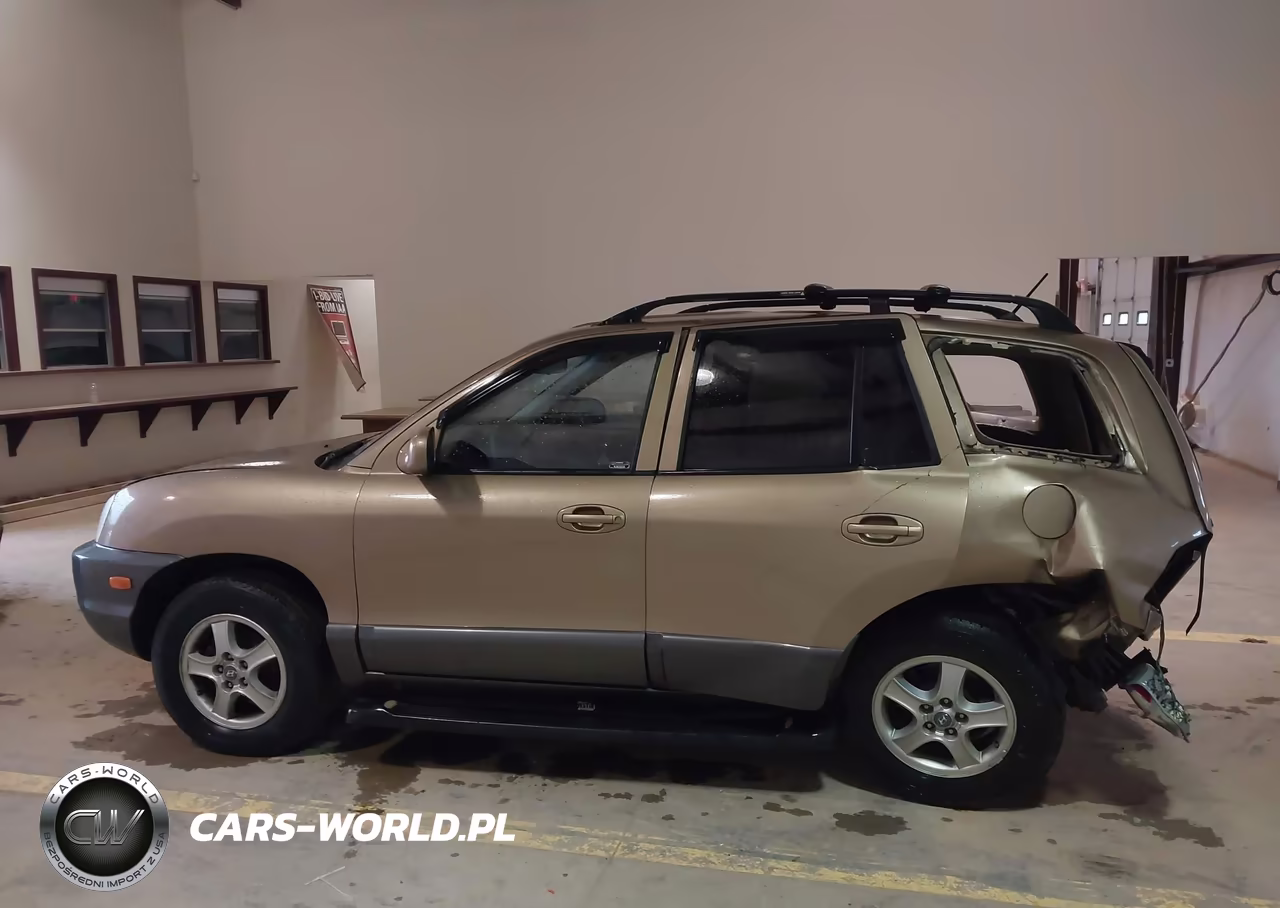 2004 Hyundai Santa Fe VIN:KM8SB12B64U786937 - 14