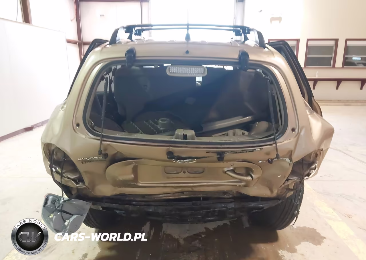 2004 Hyundai Santa Fe VIN:KM8SB12B64U786937 - 16