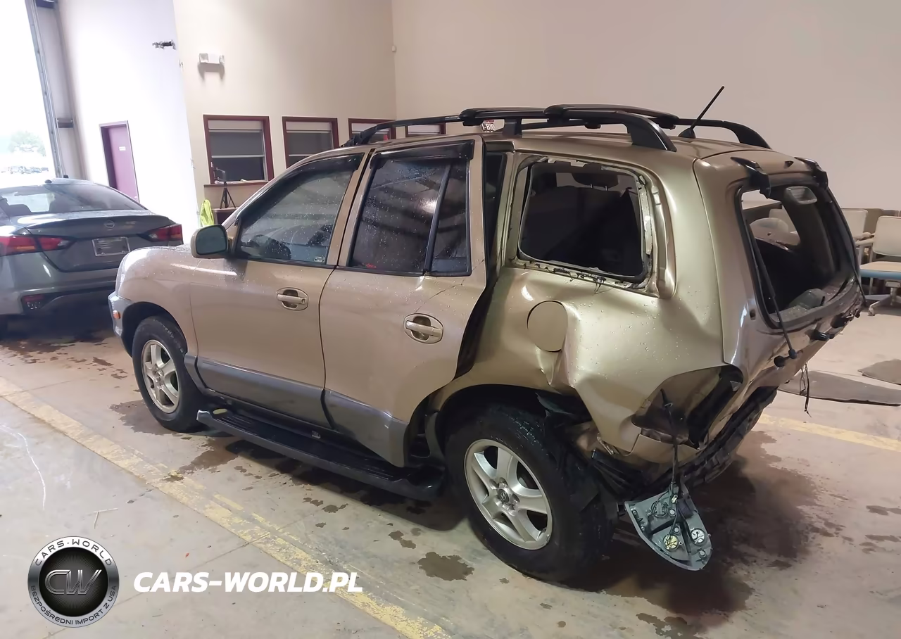2004 Hyundai Santa Fe VIN:KM8SB12B64U786937 - 3