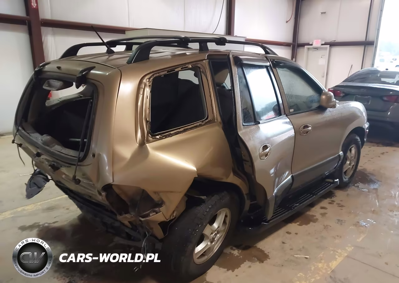 2004 Hyundai Santa Fe VIN:KM8SB12B64U786937 - 4