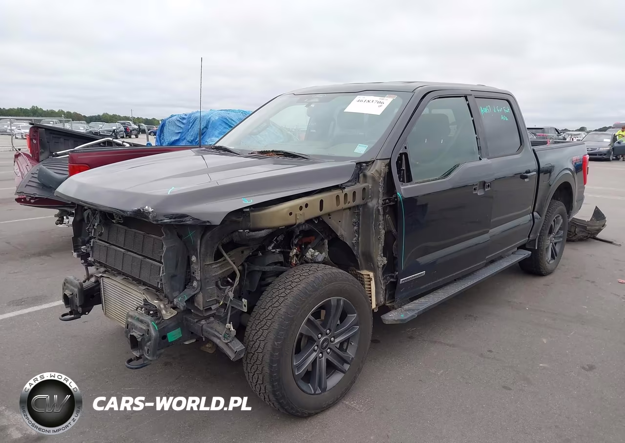 2021 Ford F-150 Xlt VIN:1FTFW1ED8MFB23655 - 2