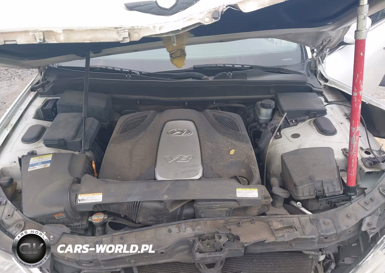 2011 Hyundai Genesis 4.6 VIN:KMHGC4DFXBU114381 - 10