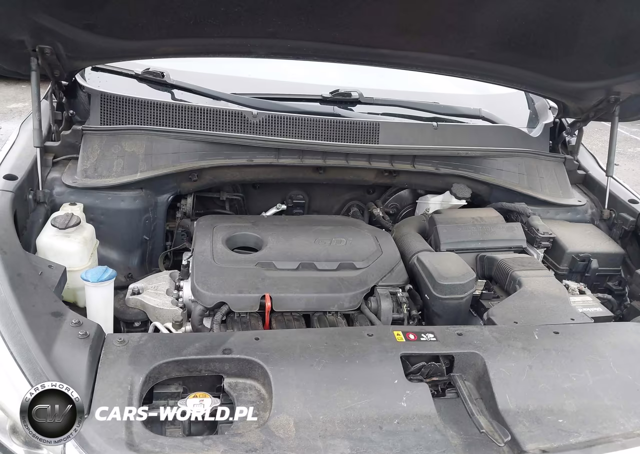 2017 Kia Sorento Lx VIN:5XYPGDA3XHG318479 - 10