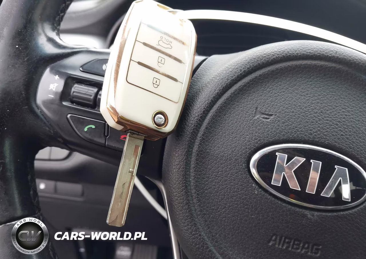 2017 Kia Sorento Lx VIN:5XYPGDA3XHG318479 - 11