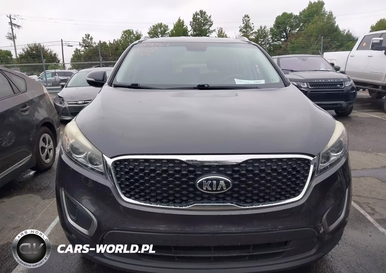 2017 Kia Sorento Lx VIN:5XYPGDA3XHG318479 - 12