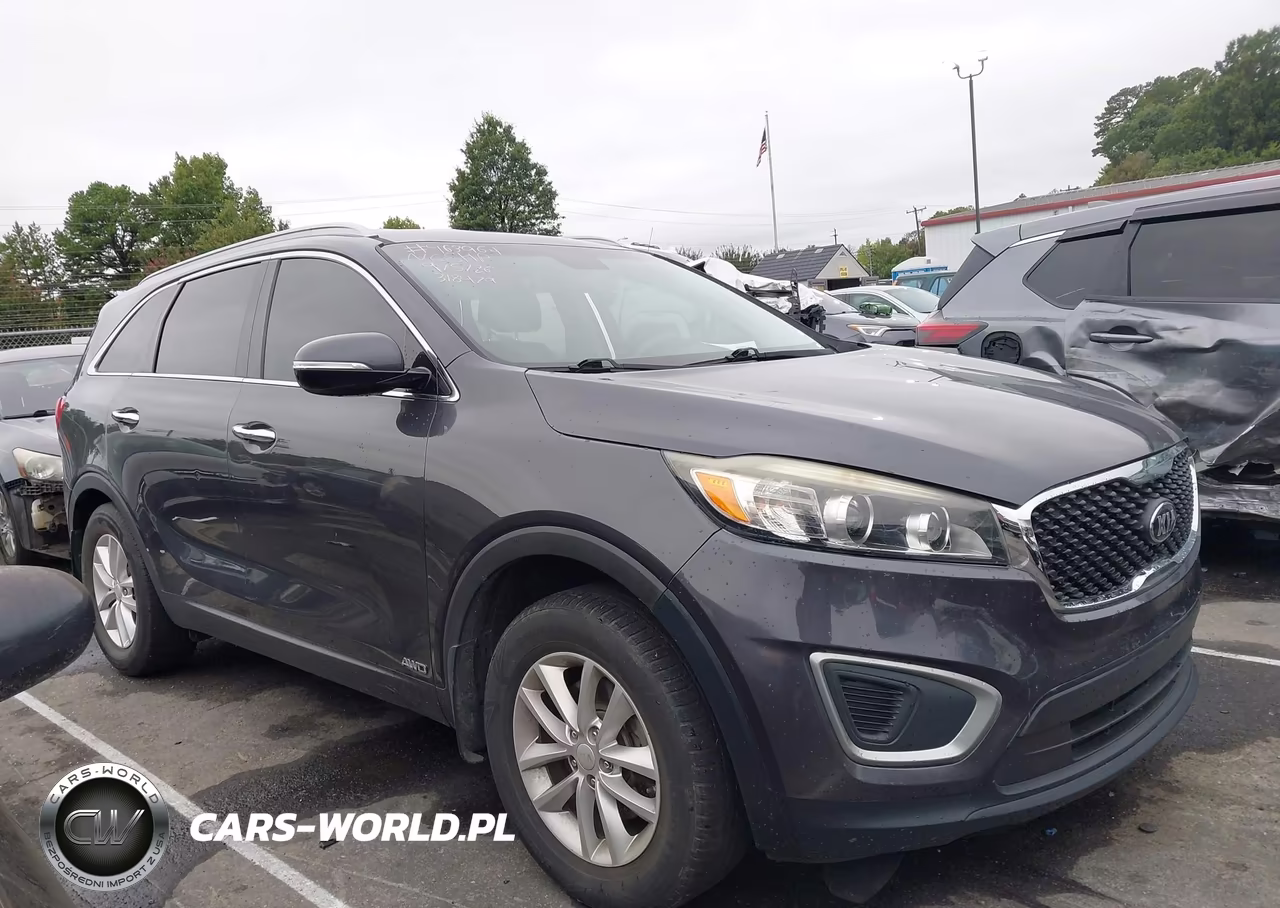 2017 Kia Sorento Lx VIN:5XYPGDA3XHG318479 - 13