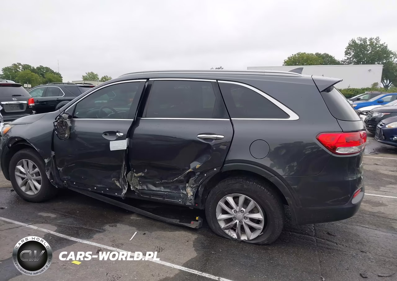 2017 Kia Sorento Lx VIN:5XYPGDA3XHG318479 - 14