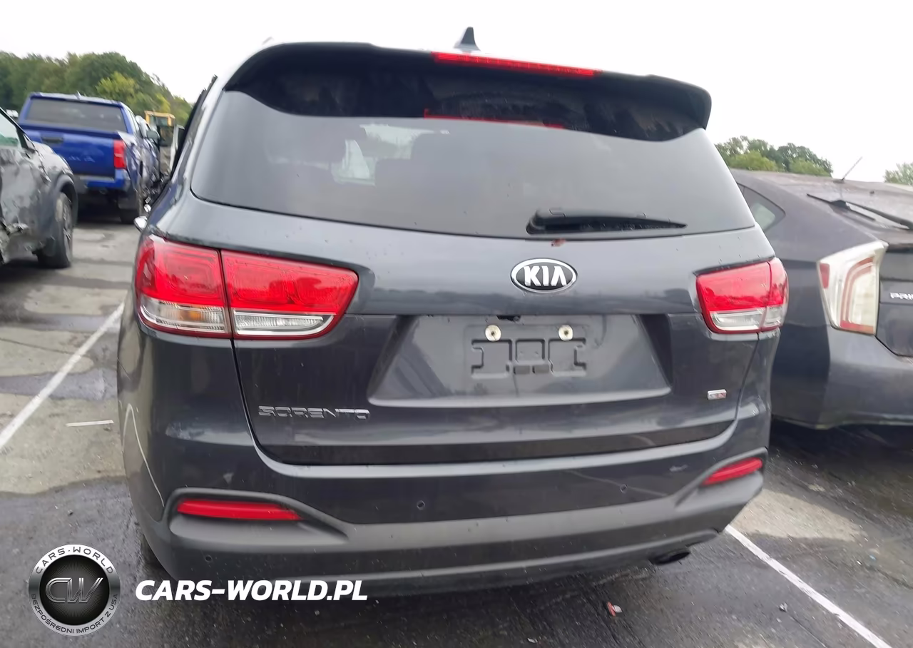 2017 Kia Sorento Lx VIN:5XYPGDA3XHG318479 - 16
