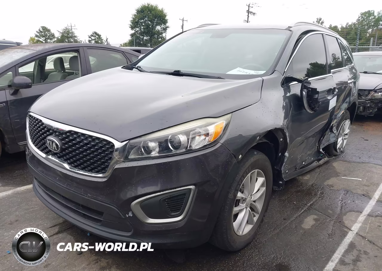 2017 Kia Sorento Lx VIN:5XYPGDA3XHG318479 - 2