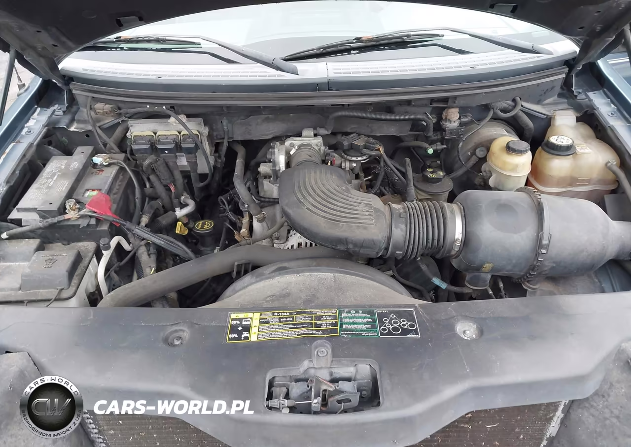 2004 Ford F-150 Stx-Xl-Xlt VIN:1FTRX12WX4NA20002 - 10