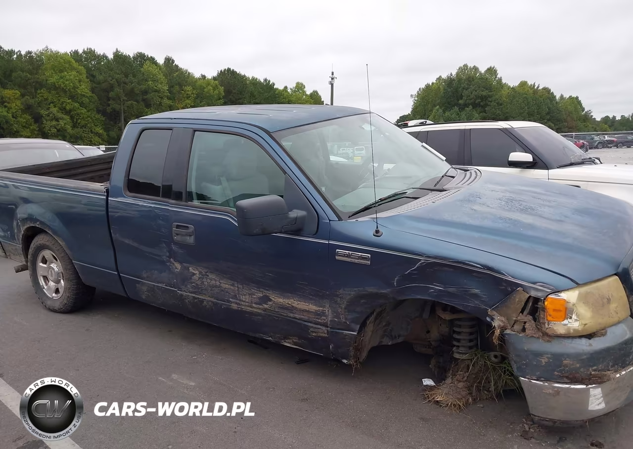 2004 Ford F-150 Stx-Xl-Xlt VIN:1FTRX12WX4NA20002 - 6