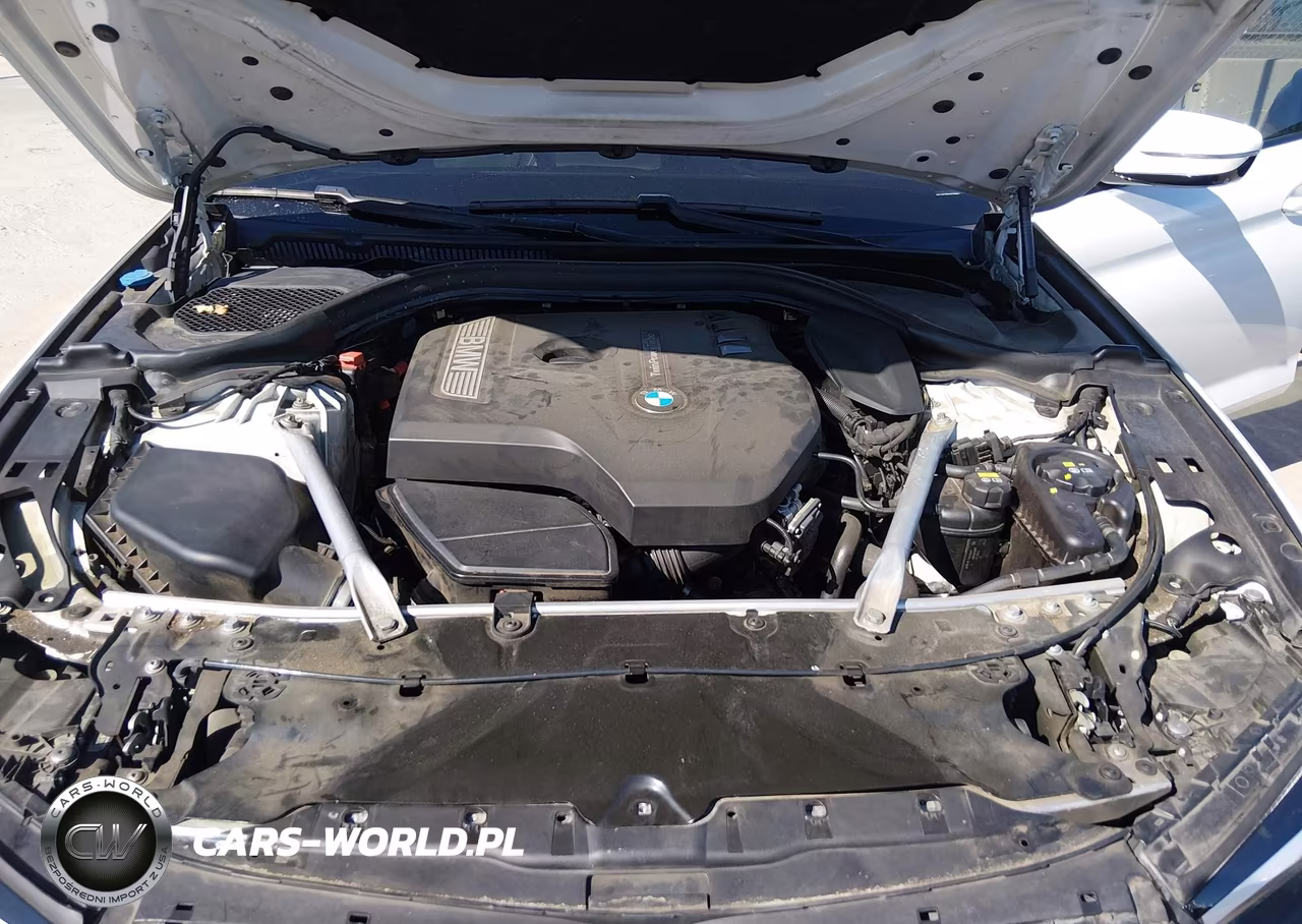 2019 BMW 530I VIN:WBAJA5C59KWA57898 - 10