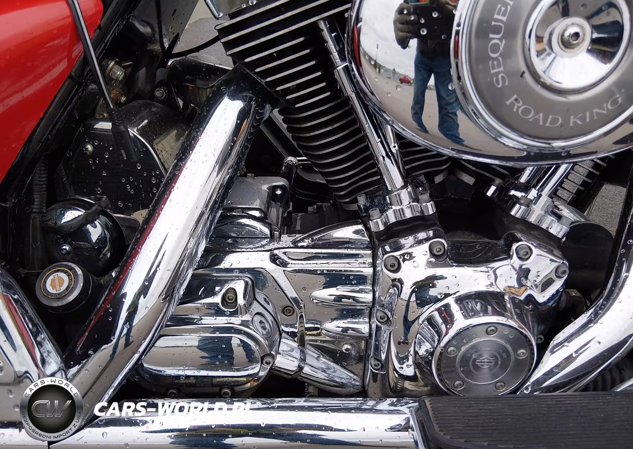 2006 Harley-Davidson Flhrci VIN:1HD1FRW196Y644029 - 8