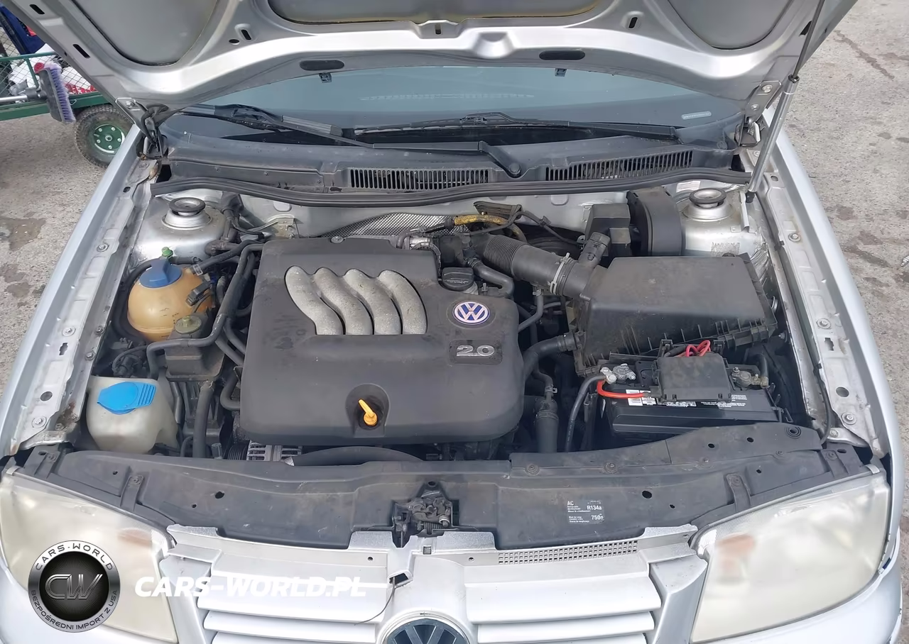 2003 Volkswagen Jetta Gls 2.0L VIN:3VWSK69M03M061617 - 10