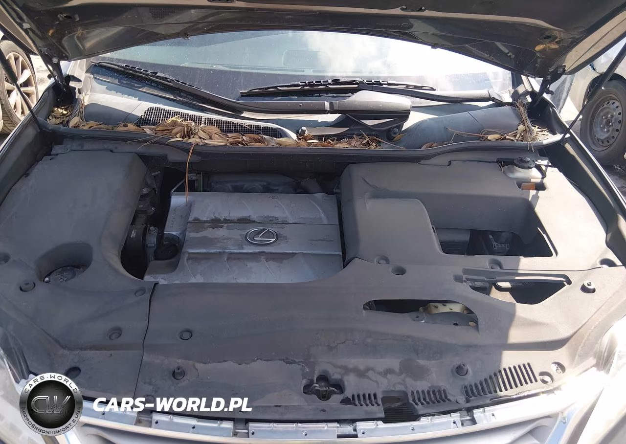 2015 Lexus Rx 350 VIN:2T2ZK1BA2FC183943 - 10