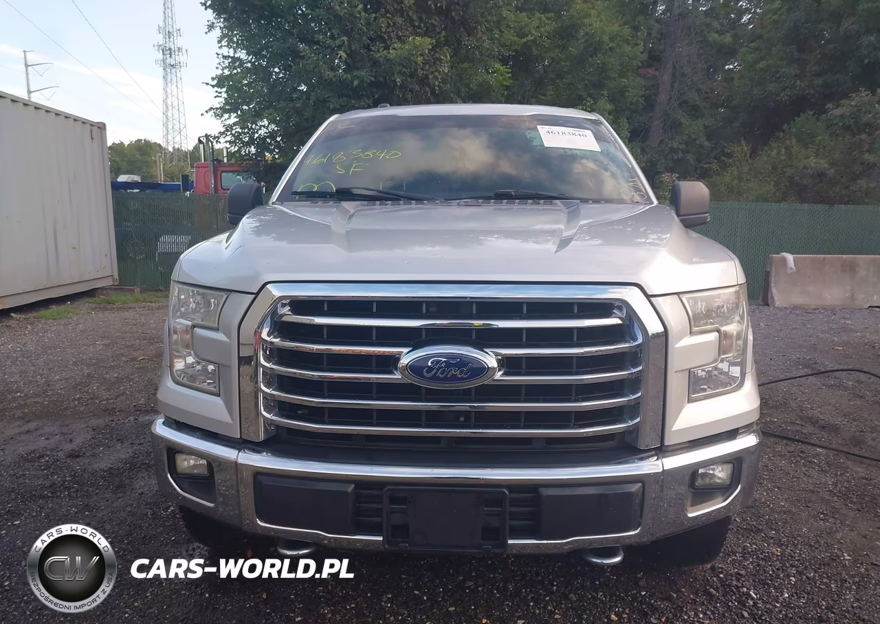 2015 Ford F-150 Xlt VIN:1FTFX1EF3FFA23058 - 12