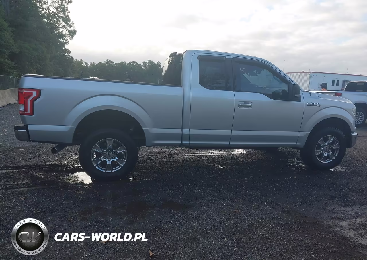 2015 Ford F-150 Xlt VIN:1FTFX1EF3FFA23058 - 13