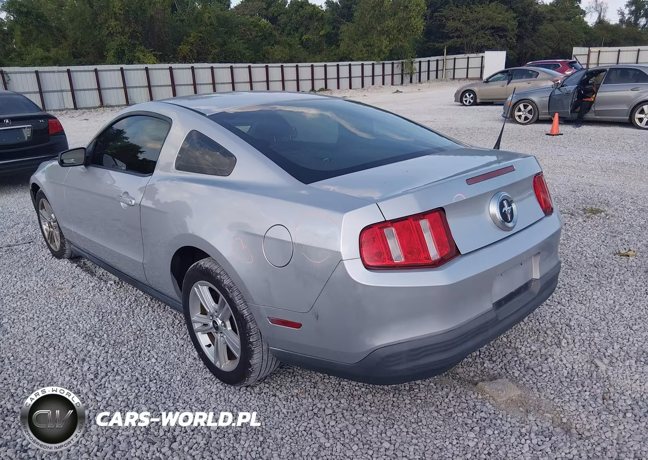 2010 Ford Mustang V6 VIN:1ZVBP8AN7A5170743 - 3