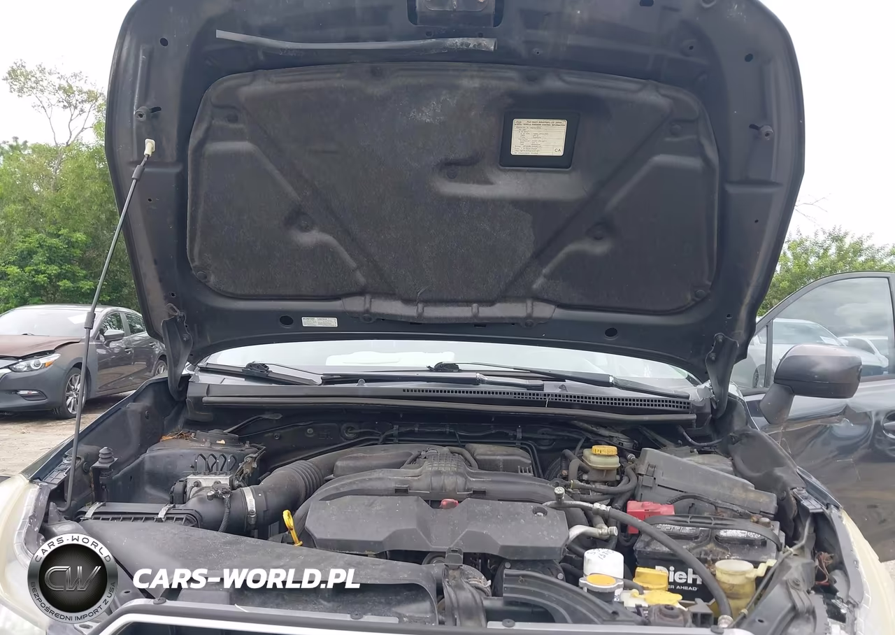 2013 Subaru Impreza 2.0I Premium VIN:JF1GJAB60DH020118 - 10