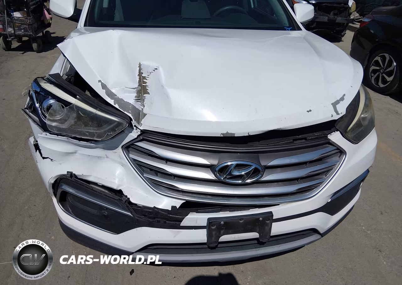 2018 Hyundai Santa Fe Sport 2.4L VIN:5XYZT3LBXJG563033 - 6