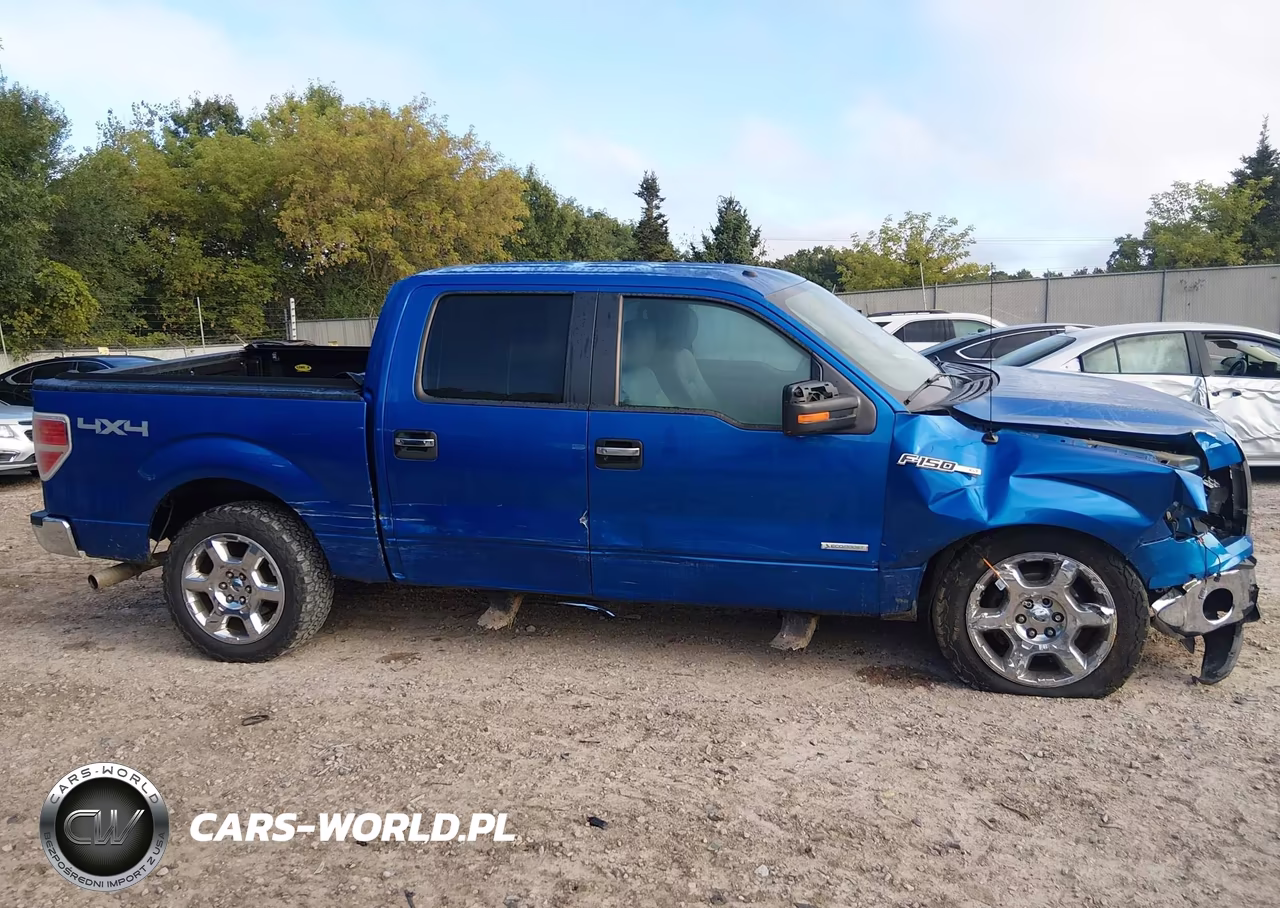 2014 Ford F-150 Xlt VIN:1FTFW1ETXEFA15305 - 14