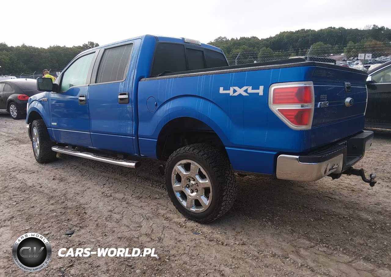 2014 Ford F-150 Xlt VIN:1FTFW1ETXEFA15305 - 3