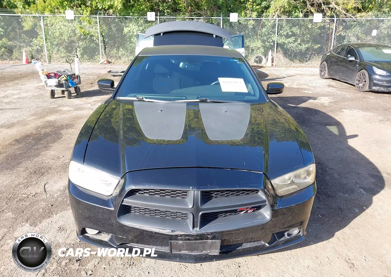 2013 Dodge Charger R-T VIN:2C3CDXCTXDH696114 - 12