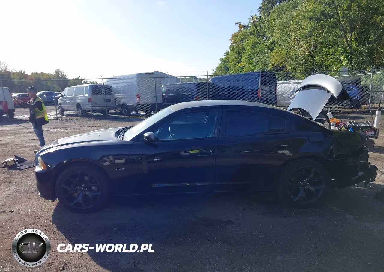2013 Dodge Charger R-T VIN:2C3CDXCTXDH696114 - 14