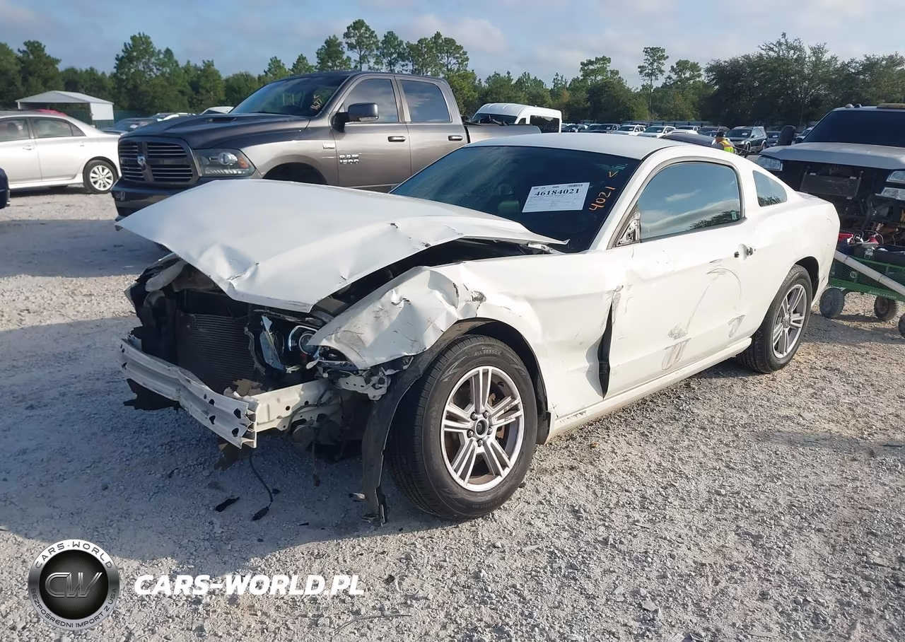 2013 Ford Mustang V6 VIN:1ZVBP8AM4D5245118 - 2