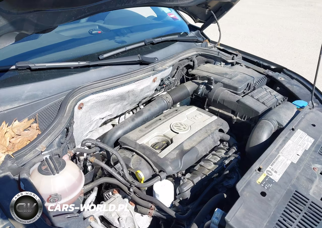 2017 Volkswagen Tiguan 2.0T-2.0T S VIN:WVGBV7AX6HK015905 - 10