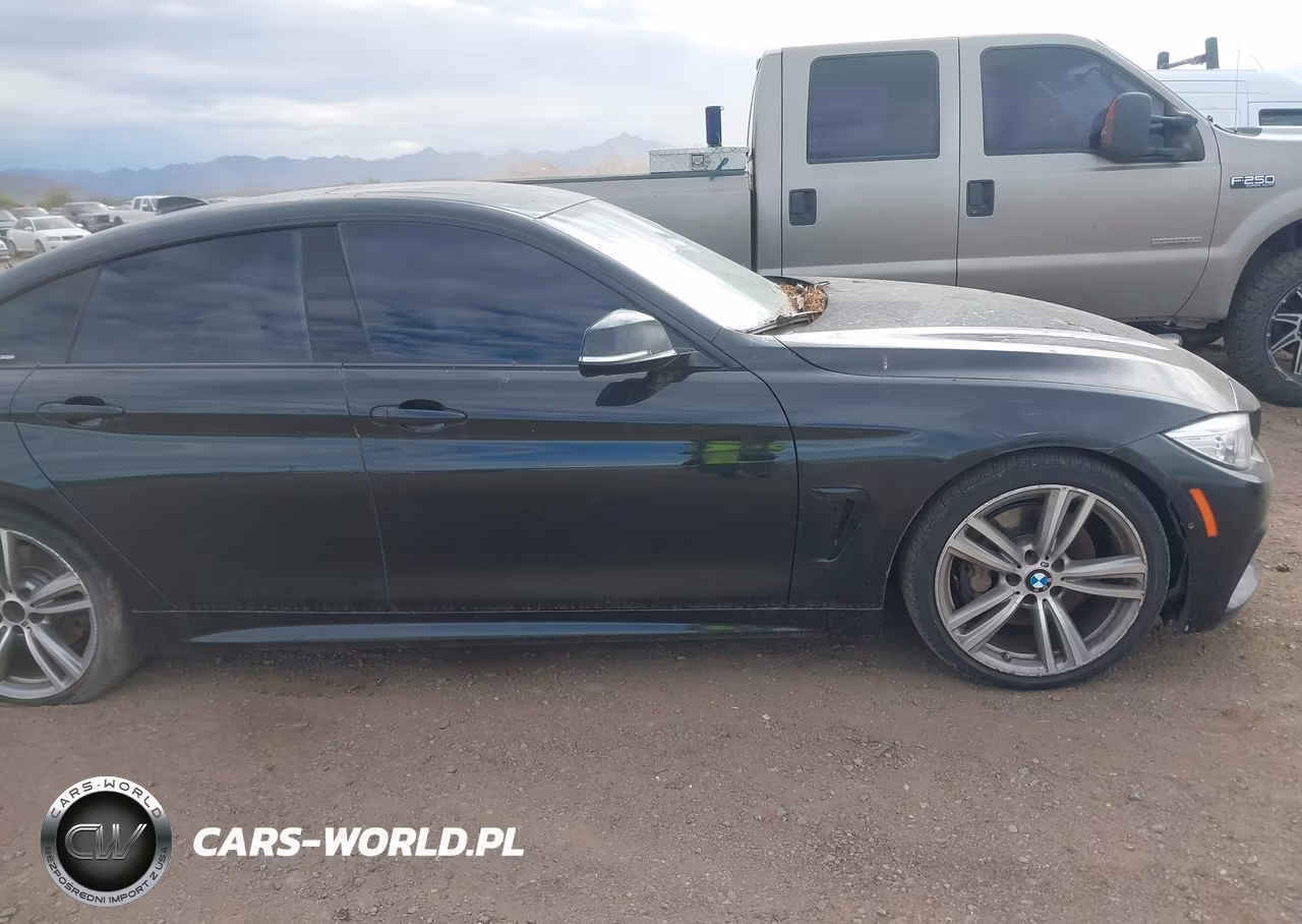 2015 BMW 435I Gran Coupe VIN:WBA4B1C52FG241046 - 12