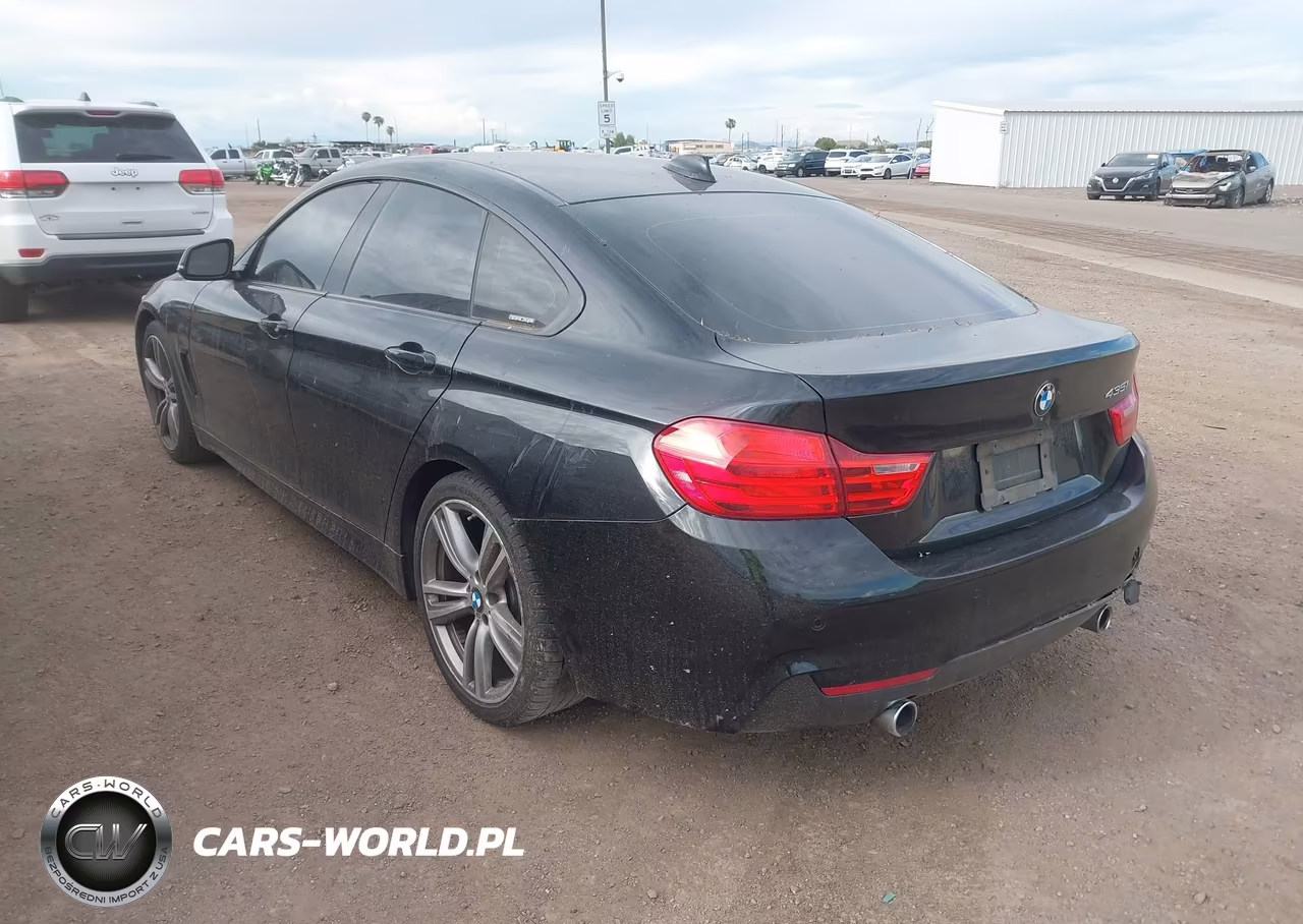 2015 BMW 435I Gran Coupe VIN:WBA4B1C52FG241046 - 3